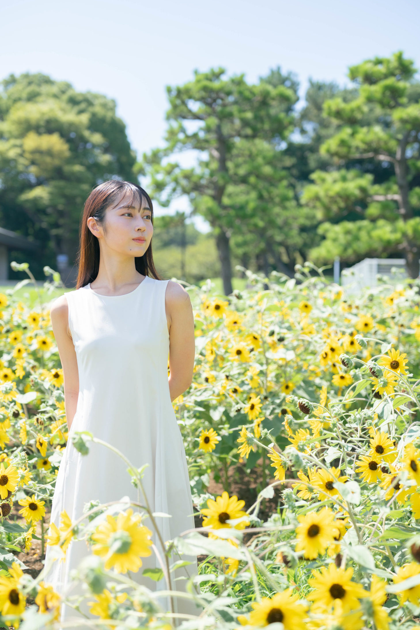 青野 さくら アー写2